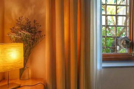 Perfect Location In Center Florenz